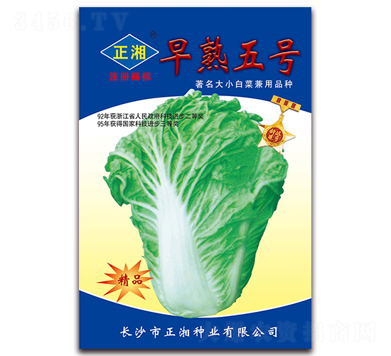 早熟5號-白菜種子-正湘種業(yè)