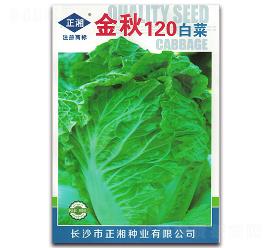 ����120-�ײ˷N��-����N�I(y��)