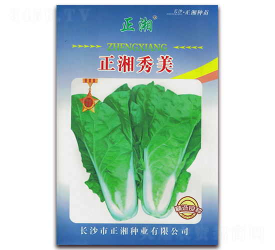正湘秀美-白菜種子-正湘種業(yè)