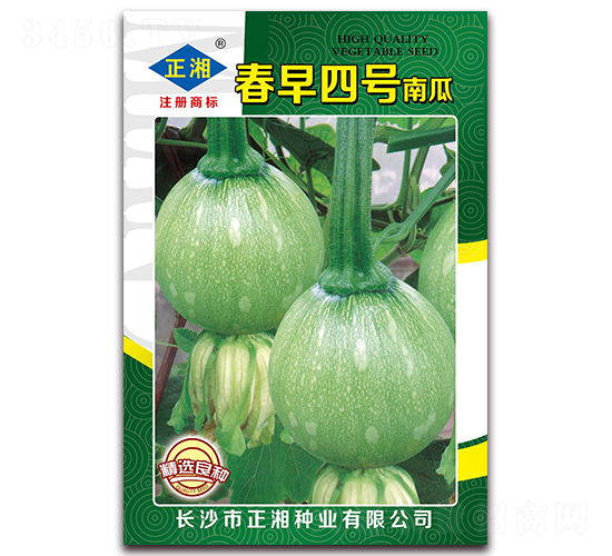 春早四號南瓜-南瓜種子-正湘種業(yè)