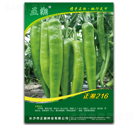 ����216-�����N��-����N�I(y��)