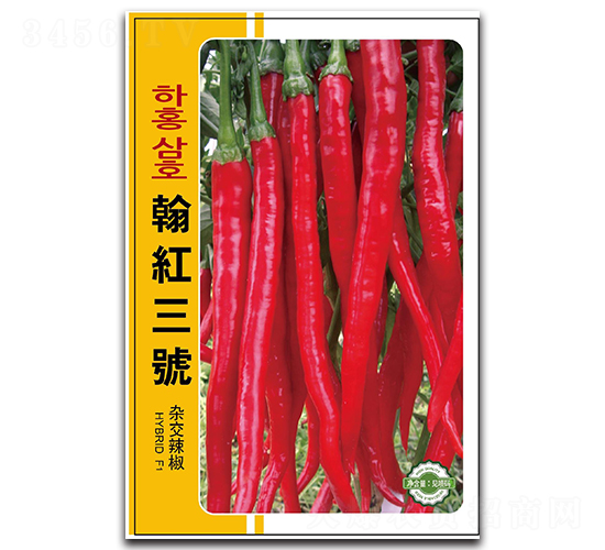 ���t��̖(h��o)-�����N��-����N�I(y��)