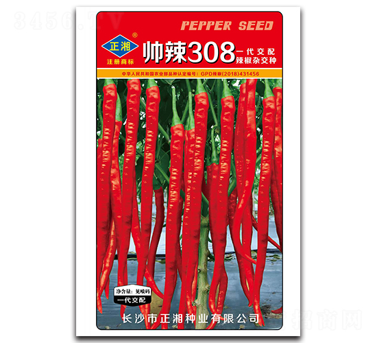 ����308���t��-�����N��-����N�I(y��)