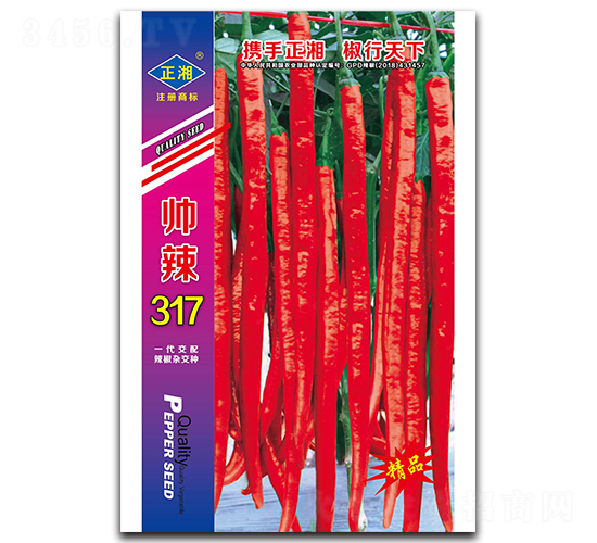 ����317���t��-�����N��-����N�I(y��)