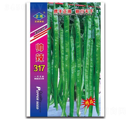 ����317���ࣩ-�����N��-����N�I(y��)