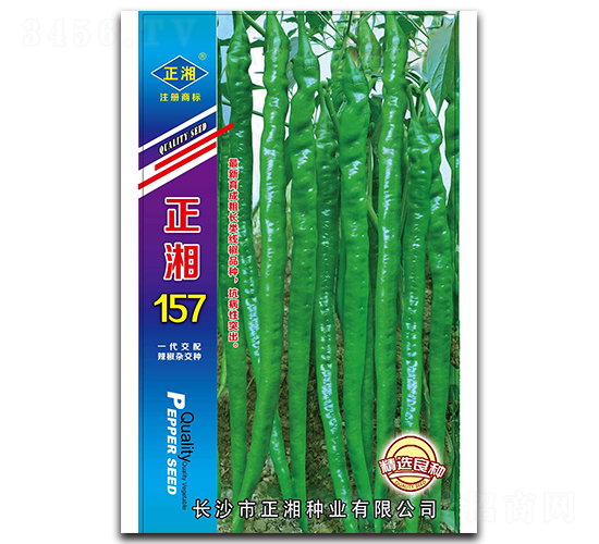正湘157-線椒種子-正湘種業(yè)