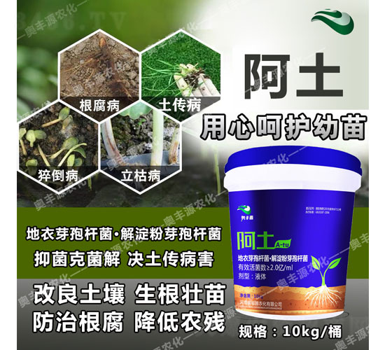 ����ѿ�ߗU���������ѿ�ߗU��-����-�W�SԴ