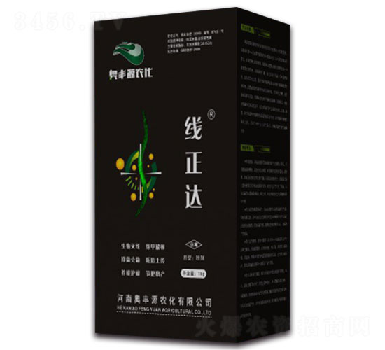 ���ġ��������߾�-�����_-�W�SԴ