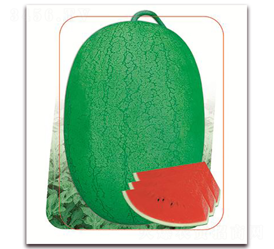 �G��ʯ-���ϷN��-����(y��u)�r(n��ng)�I(y��)