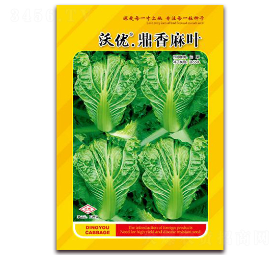 鼎香麻葉-葉菜種子-鼎優(yōu)農(nóng)業(yè)