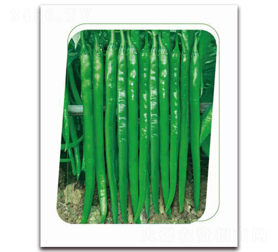 ����66-�����N��-����(y��u)�r�I(y��)