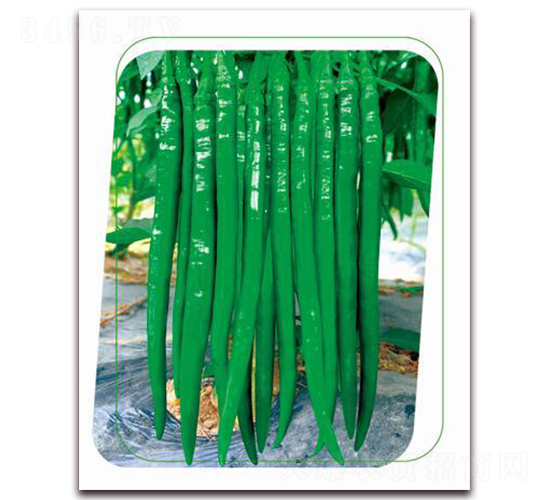 ����55-�����N��-����(y��u)�r(n��ng)�I(y��)