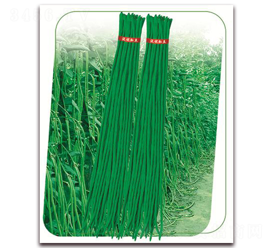 ����6̖-�����N��-����(y��u)�r(n��ng)�I(y��)