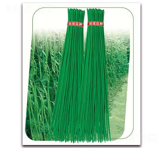 ����5̖-�����N��-����(y��u)�r�I(y��)