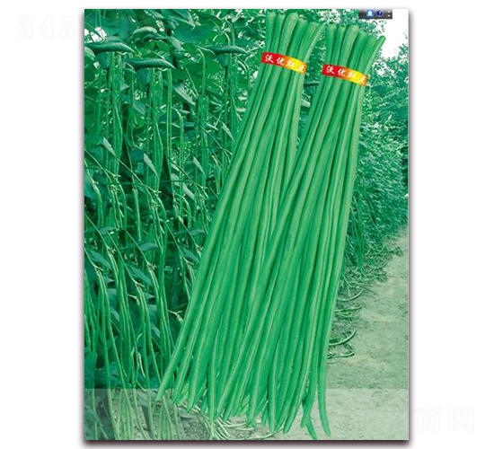 �G����-�����N��-����(y��u)�r(n��ng)�I(y��)