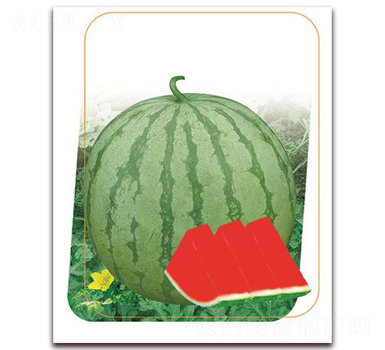 ����-���ϷN��-����(y��u)�r(n��ng)�I(y��)