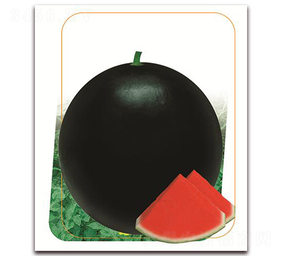 ���~ʮ��-���ϷN��-����(y��u)�r(n��ng)�I(y��)