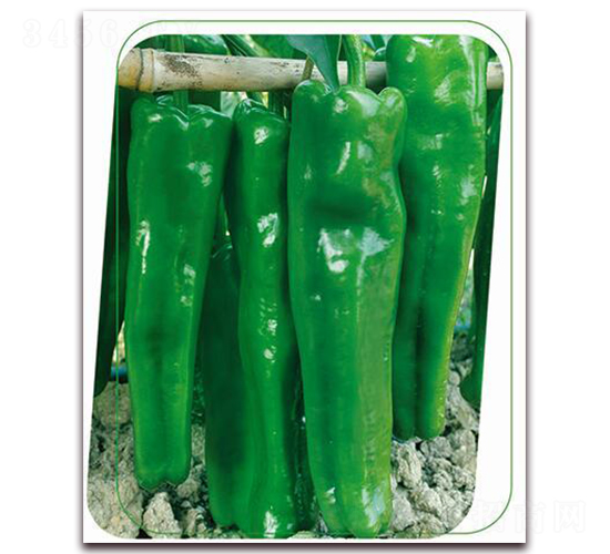 ���Aһ̖-�����N��-����(y��u)�r(n��ng)�I(y��)