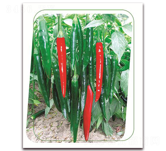 ���s-�����N��-����(y��u)�r(n��ng)�I(y��)