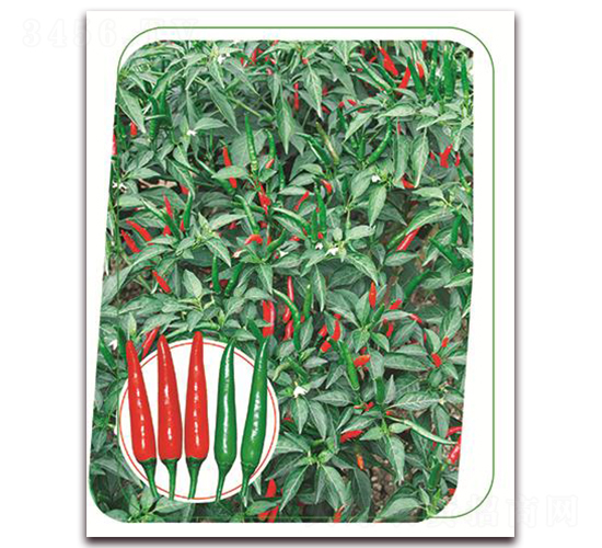 �η�-�����N��-����(y��u)�r�I(y��)