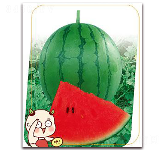 �M(m��n)��-���ϷN��-����(y��u)�r(n��ng)�I(y��)