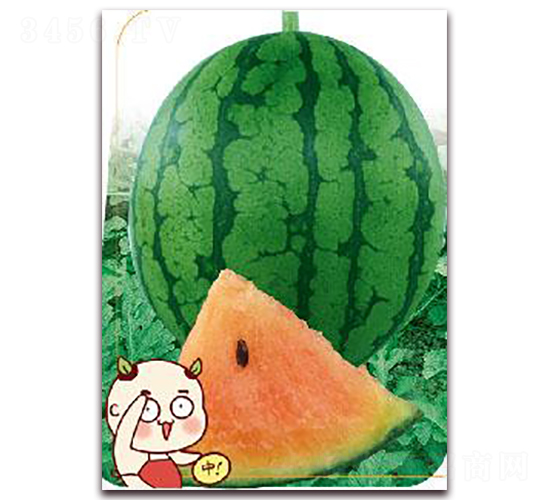 ���-���ϷN��-����(y��u)�r(n��ng)�I(y��)