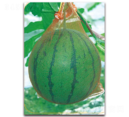 �G�C��-���ϷN��-����(y��u)�r(n��ng)�I(y��)