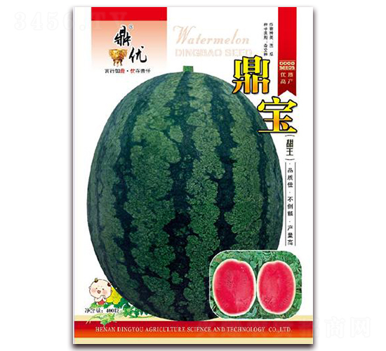 ����-���ϷN��-����(y��u)�r(n��ng)�I(y��)