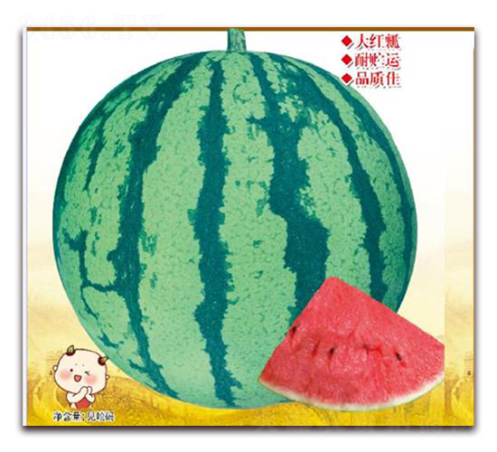 �㶼��̖-���ϷN��-����(y��u)�r(n��ng)�I(y��)