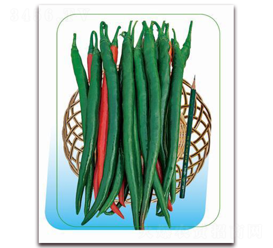 �����-�����N��-����(y��u)�r(n��ng)�I(y��)