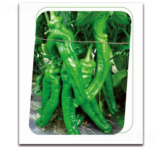 ���e7̖-�����N��-����(y��u)�r(n��ng)�I(y��)