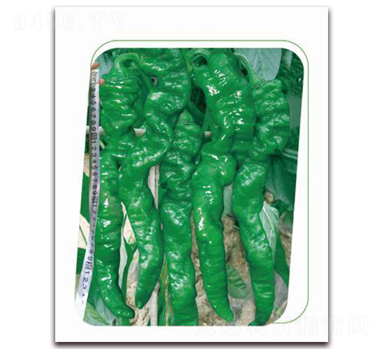 ����һ̖(h��o)-�����N��-����(y��u)�r(n��ng)�I(y��)