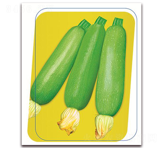 ����-�����J�N��-����(y��u)�r�I(y��)