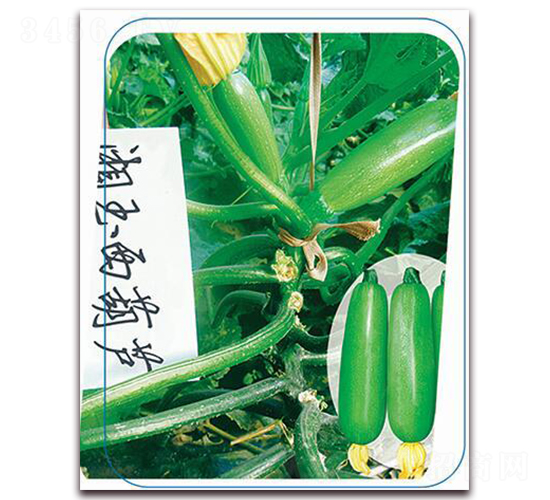 ����-�����J�N��-����(y��u)�r(n��ng)�I(y��)