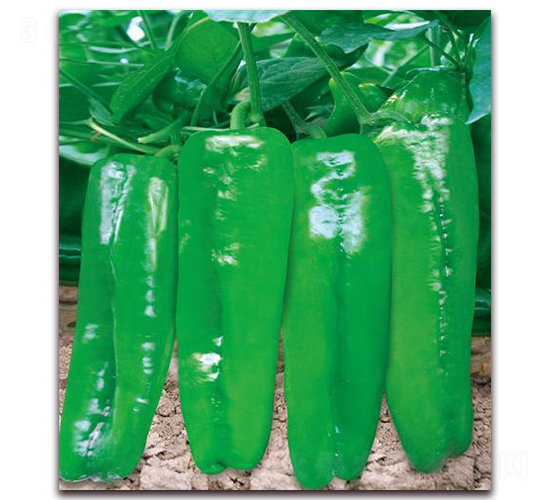 ����(y��u)8̖-�����N��-����(y��u)�r(n��ng)�I(y��)