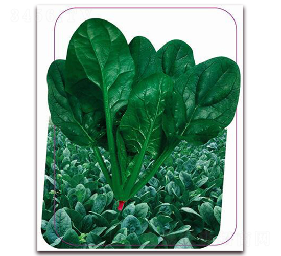 �G��-���˷N��-����(y��u)�r�I(y��)