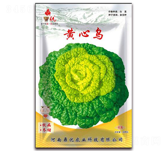 黃心烏-葉菜種子-鼎優(yōu)農(nóng)業(yè)