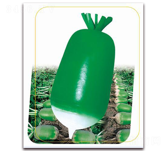 �G����-�}���N��-����(y��u)�r�I(y��)