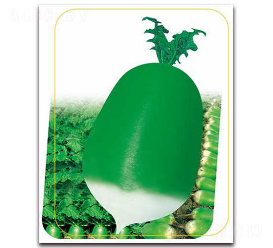 ����791-�}���N��-����(y��u)�r(n��ng)�I(y��)