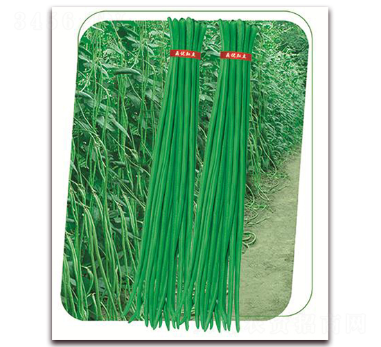 ����9̖-�����N��-����(y��u)�r(n��ng)�I(y��)