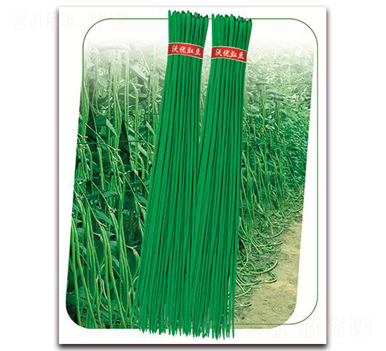 ����7̖-�����N��-����(y��u)�r(n��ng)�I(y��)