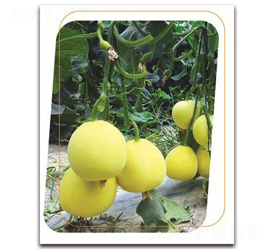 ����20-��ϷN��-����(y��u)�r(n��ng)�I(y��)