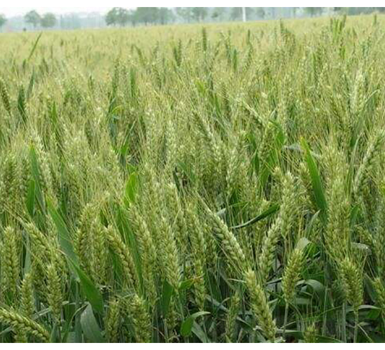 ��(gu��)������32-�S�ǷN�I(y��)