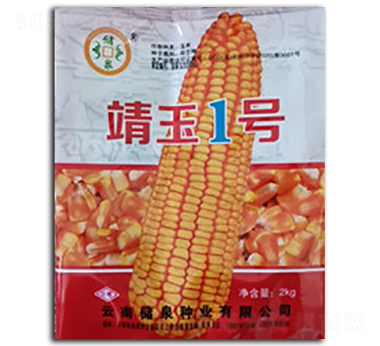 靖玉1號(hào)-儲(chǔ)泉種業(yè)