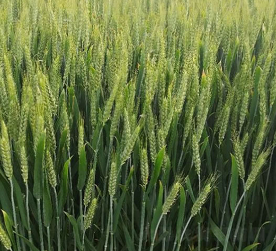 �A��865-С���N��-�A��