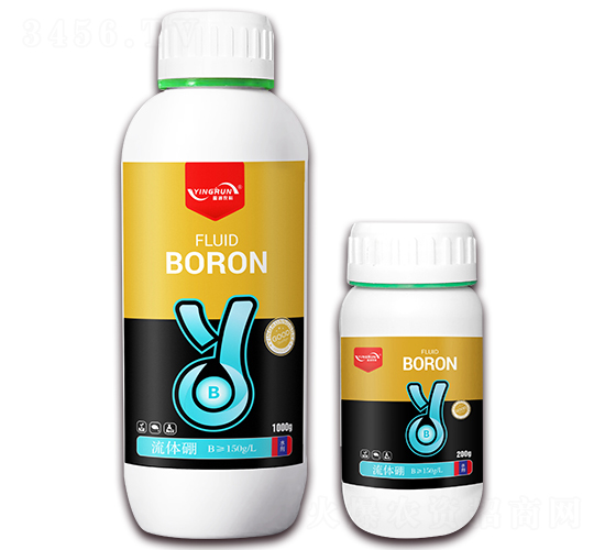 ���w��-ӯ���r�I(y��)