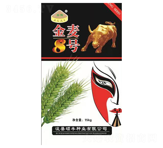 金麥8號(hào)-小麥種子-碩豐