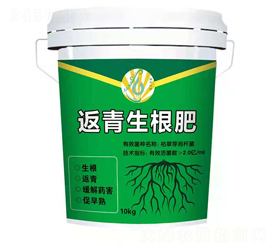 ����������-��ƽ��̼