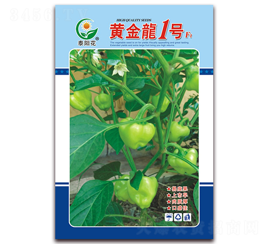 �S����1̖-�ཷ�N��-ӳɽ��