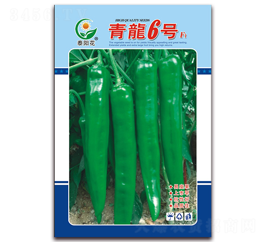 ����6̖-�ཷ�N��-ӳɽ��